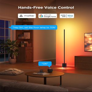 2. Govee Floor Lamp 2 with Matter