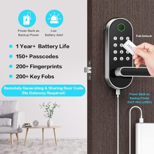 2. Sifely Keyles