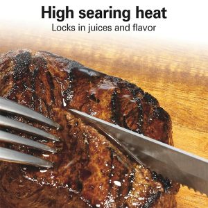 3. Hamilton Beach Electric Indoor Searing Grill