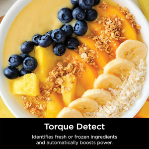 Ninja TB201 Detect Power Blender
