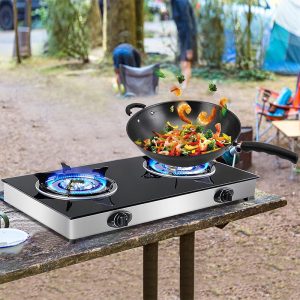 portable propane gas stove
