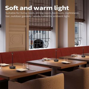Modern Cordless Table Lamp Set