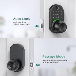 Smart Door Lock with Knob